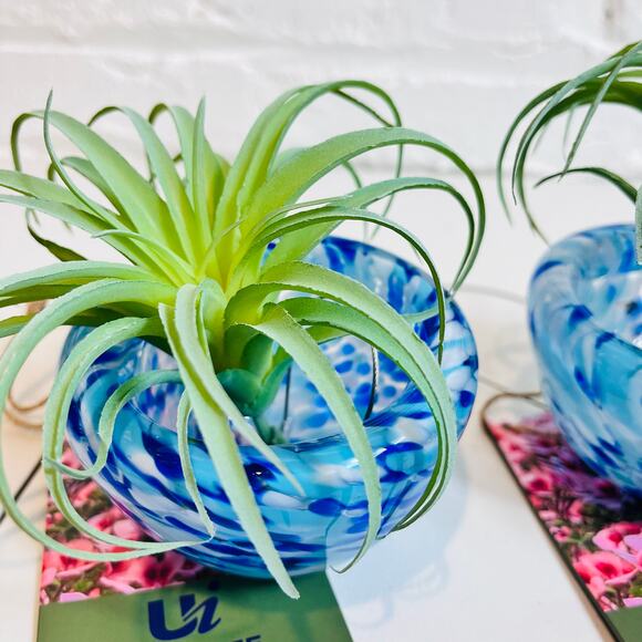 The Ultimate Innovations Jellyfish Colored Glass Air Plant Hanging Globe 2 - Picture 6 of 8